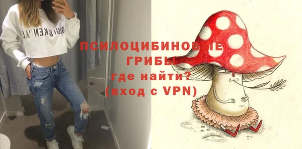 прущие грибы Верея