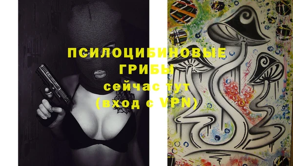прущие грибы Верея