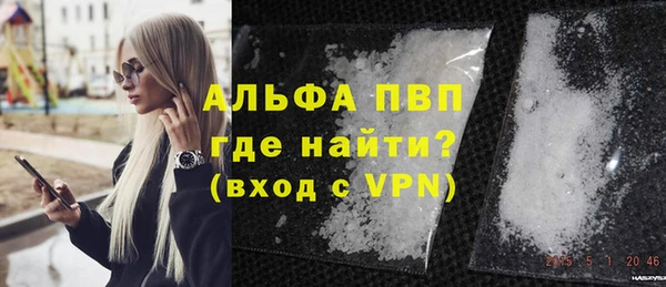 прущие грибы Верея