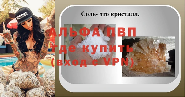 прущие грибы Верея