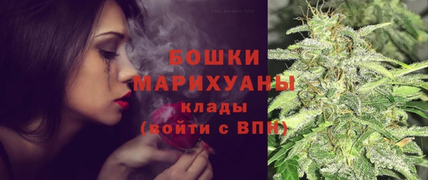 прущие грибы Верея