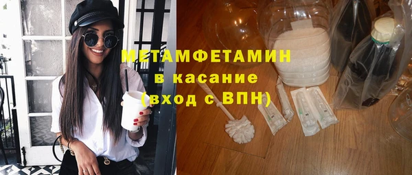 прущие грибы Верея