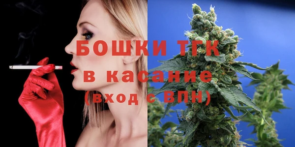 прущие грибы Верея