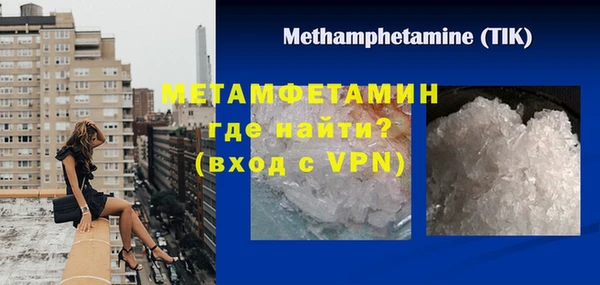 прущие грибы Верея