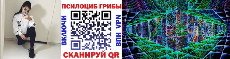 Галлюциногенные грибы Psilocybine cubensis  Комсомольск-на-Амуре 