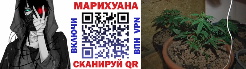 Бошки Шишки индика продажа наркотиков Комсомольск-на-Амуре